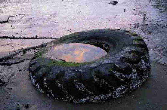 Claims management and the Environment Image