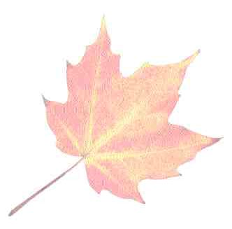 Developing Financial Supervision The Canadian Solution Image