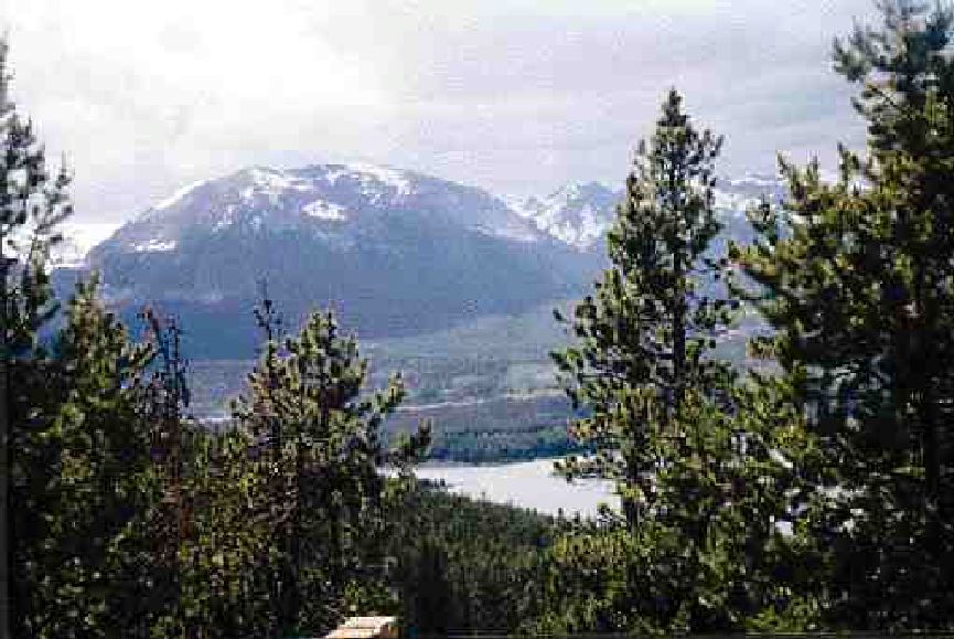 Marketing Strides – getting ON TOP Image