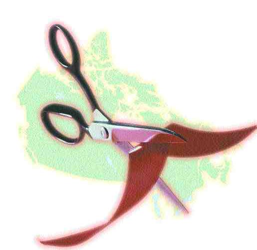 Provincial Regulatory Harmonization: Cutting the RED TAPE of classes Image