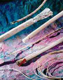 Coming Events (February 01, 2000) Image