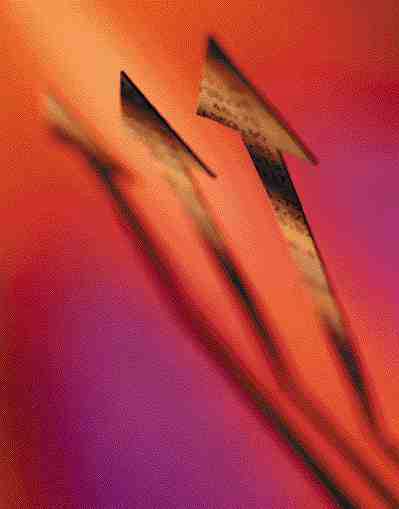 Multi-Distribution: Switching channels Image