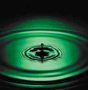 Sweet but Deadly, Lessons From Walkerton Image