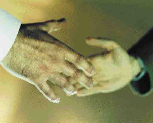 Hands Across Borders Image