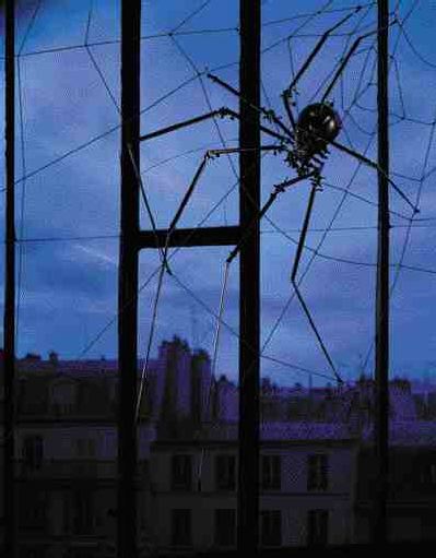 BEHIND THE SCENES: forensic entomology Image