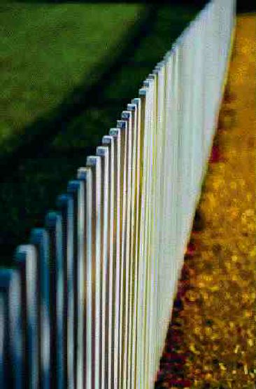 TPAs Looking for Value Image