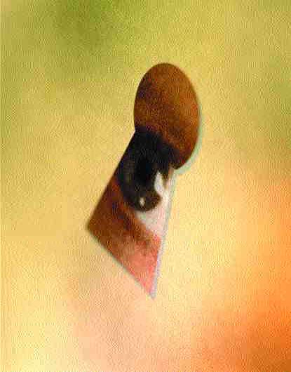 Privacy legislation: INDUSTRY COMPLIANCE Image