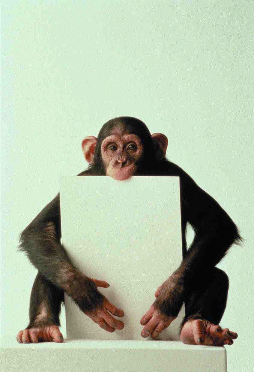 Customer Relationship Management: Who is your customer? Image