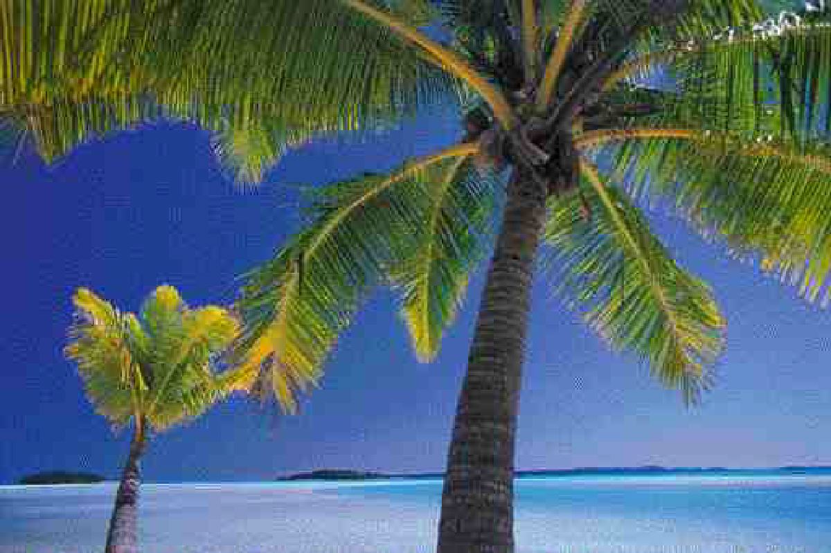 Insurance Pricing Boosts Captive Recovery Image