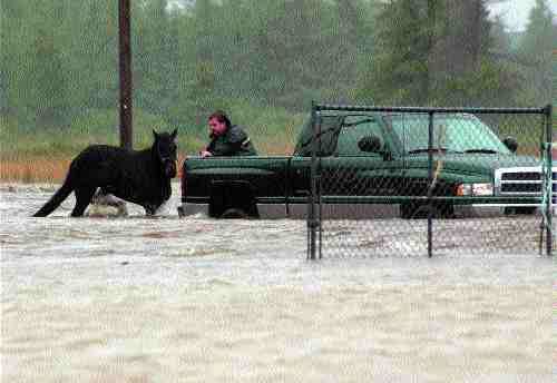 Storms hit Manitoba, Newfoundland Image