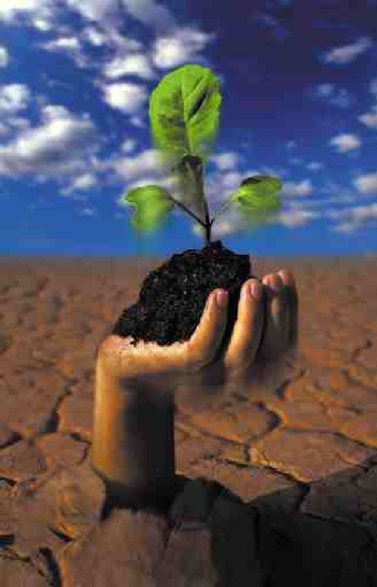 Growth and Hope Image