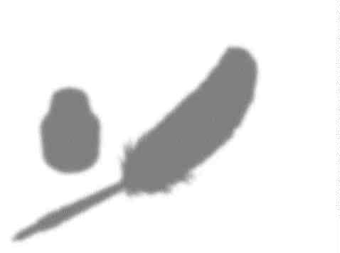 The Art of Writing Image