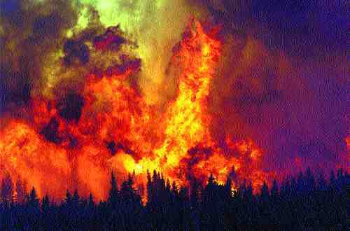 Sleeping Giant: Canada’s Wildfire Risk Image