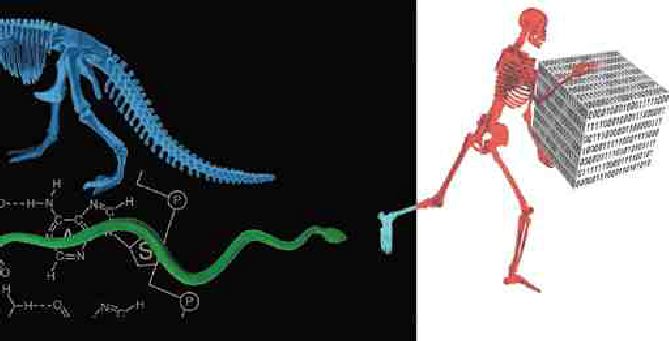 ONLINE TECHNOLOGY: “Doing the Evolution” Image