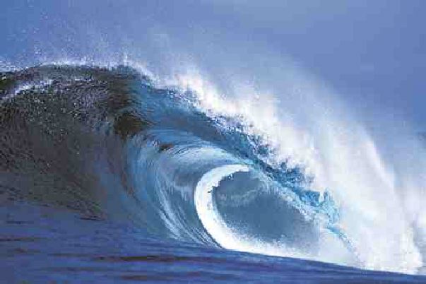 The Next Wave in Claims Administration Image