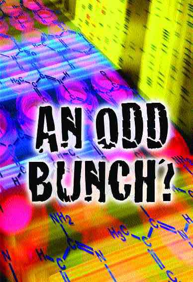 Treaty Underwriters: Pricing & Volatility Image