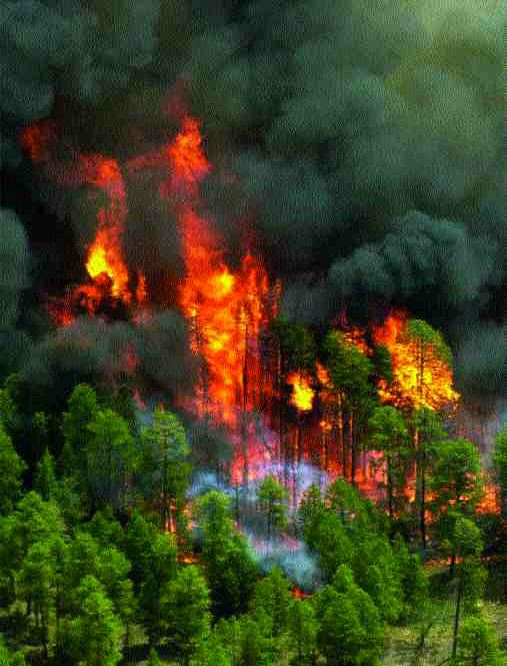 Fires/floods cause more than US$2 billion in 2-Q cat losses Image