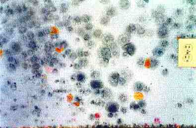 Mold & Water Damage Claims: Avoiding the Headache Image