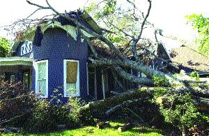 Lili damage estimate at US$335 million Image