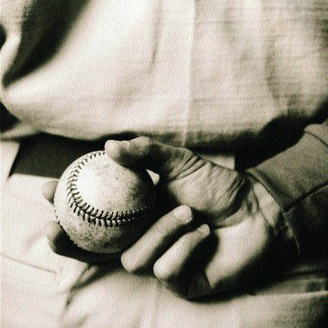 Toxic Mold Claims: Covering the Bases Image