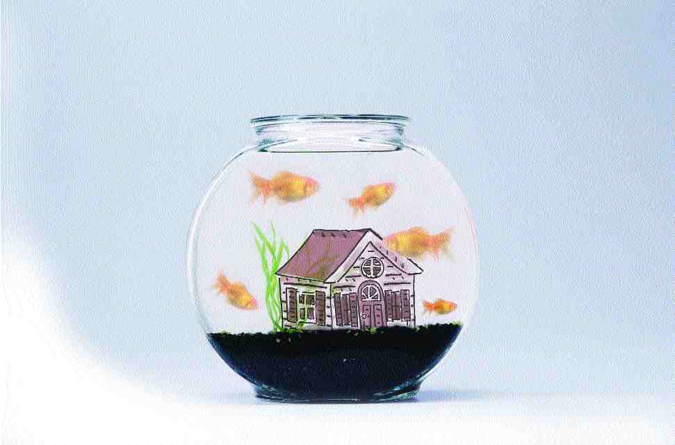 Homeowner Property Losses: Underwater Image