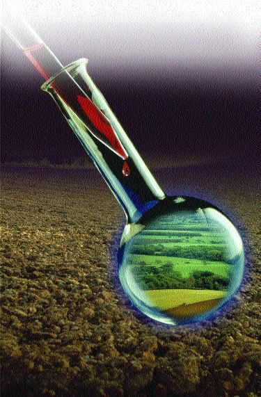 Clearing Canada’s Brownfields Image