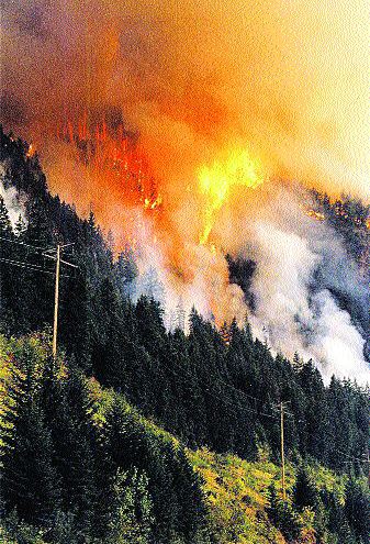 B.C. Fires Wreak Multi-Million Dollar Losses Image