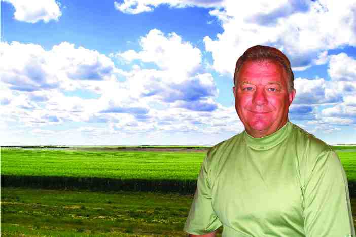 Field of Dreams Image