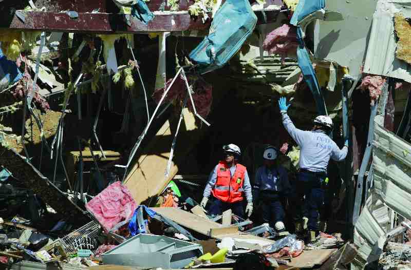 The New Normal: Billion-Dollar Bruisers Image