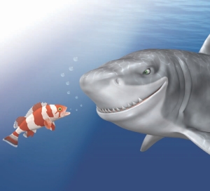 In Search of Smaller Fish Image