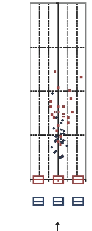 Shingle Damage: In The Eye Of The Storm Image