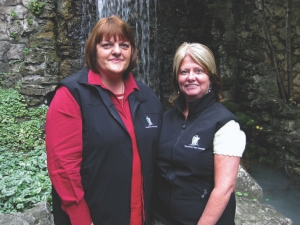 Broadening the Horizon Image