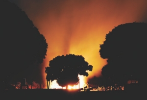 Lessons from Down Under Image