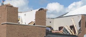 Taming The Big Bad Wolf Image