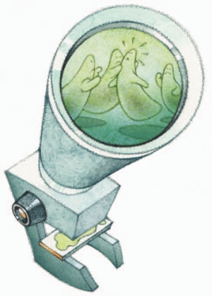 Is Disease Transmission an ‘Accident’? Image