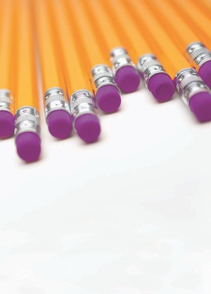 MBA Class of 2011 Image