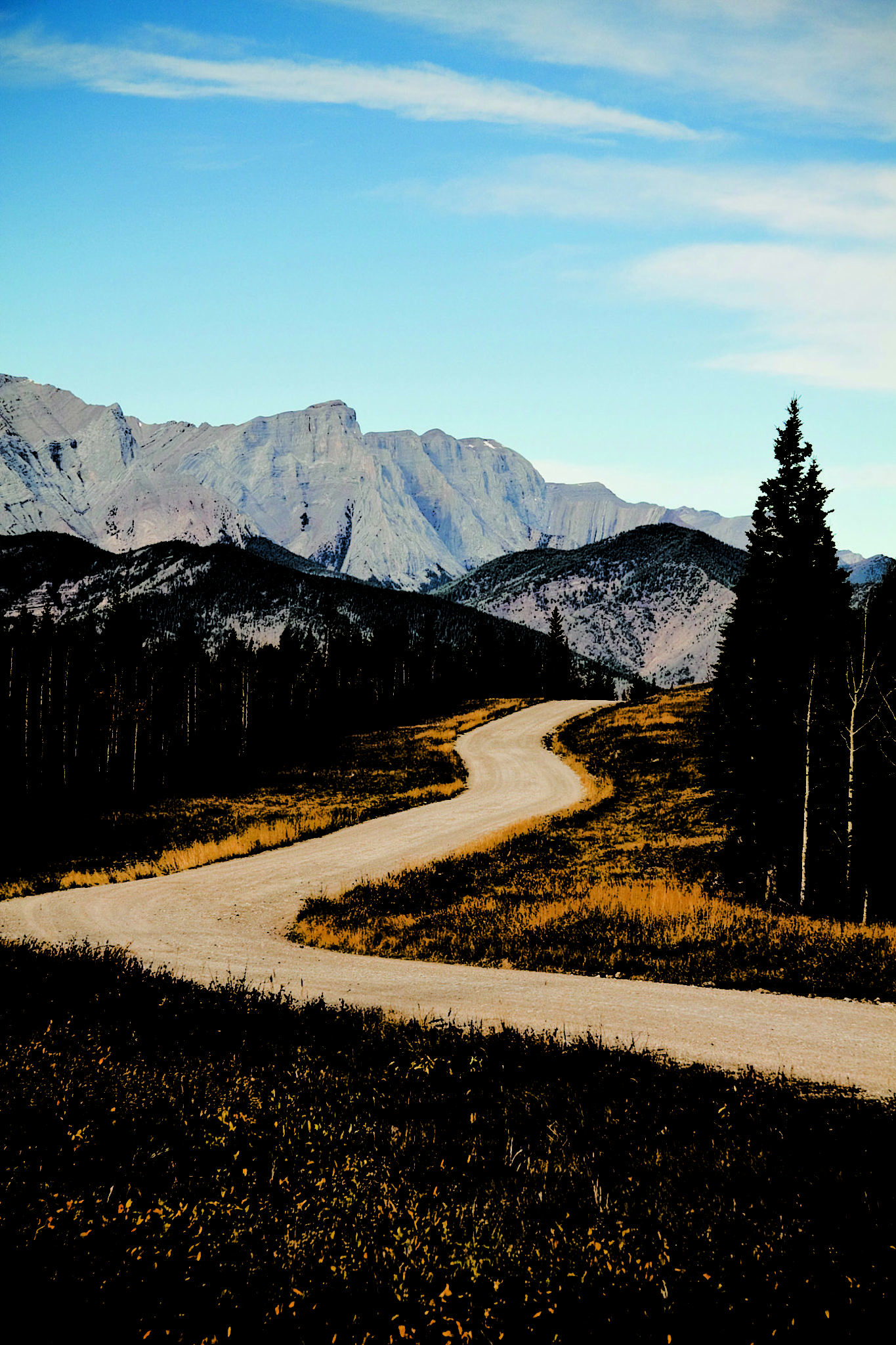 Necessity Breeds Innovation Image