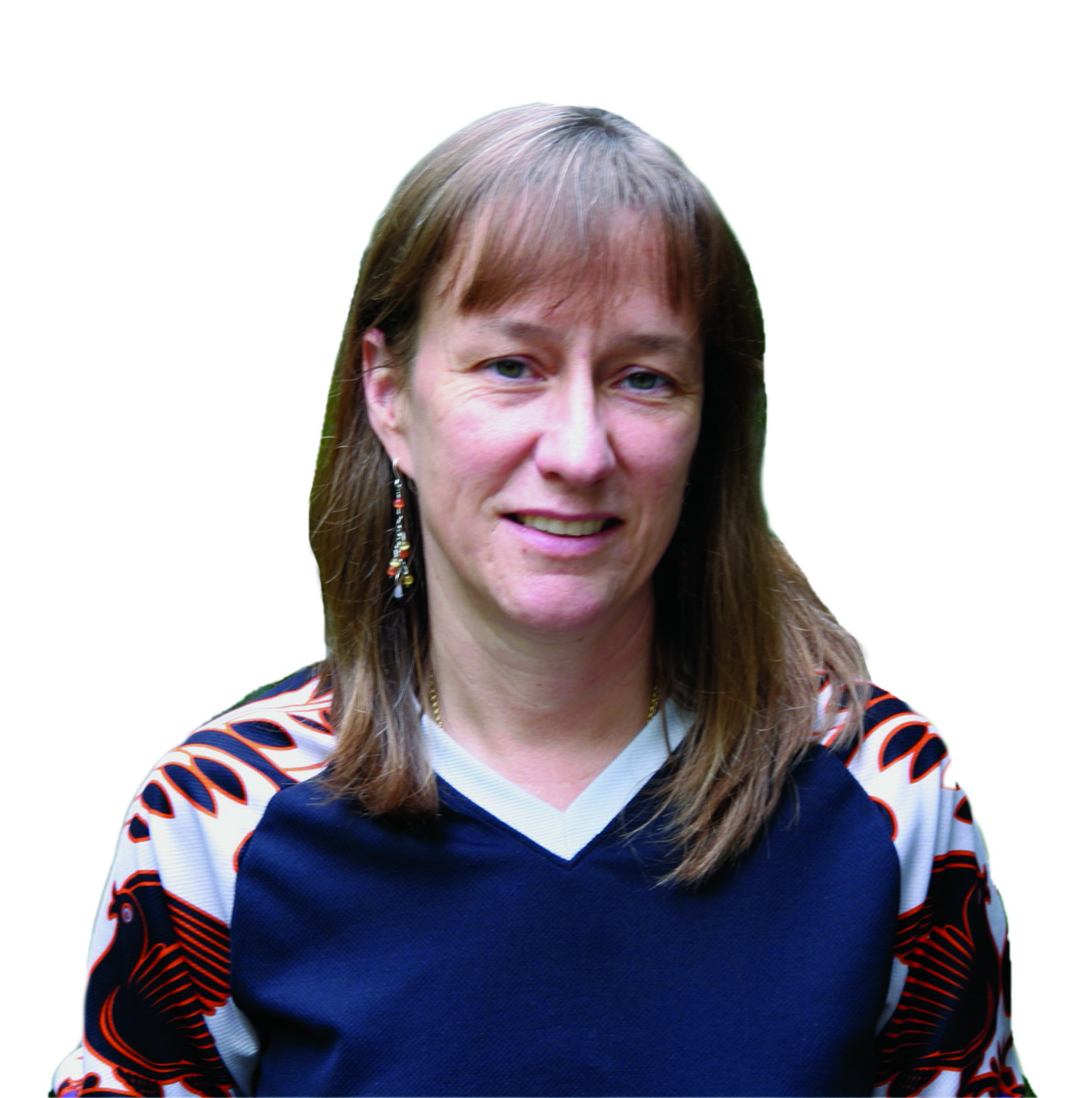 Early Warning System Image