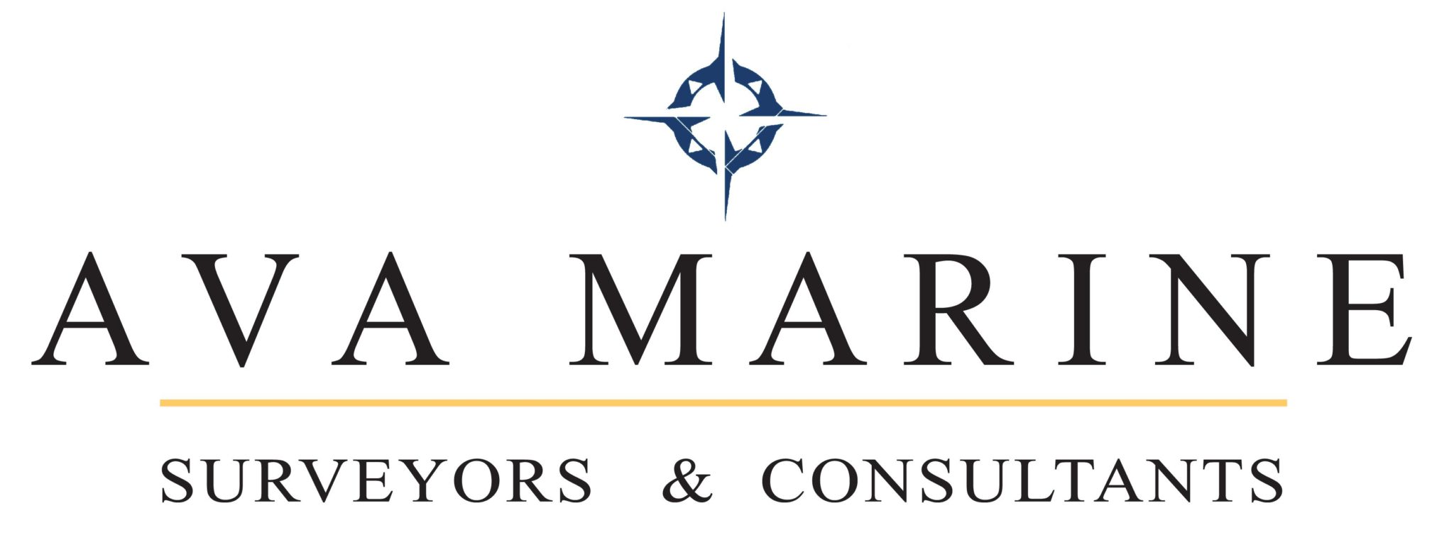 AVA MARINE GROUP INC.  RELEASES A PAPER ON SOMALI PIRACY AND THE USE OF ARMED GUARDS ON MERCHANT VESSELS. Image