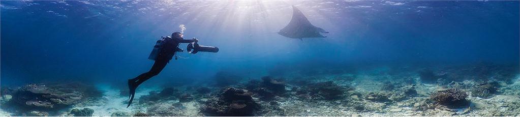 New “Seaview” survey studies coral reefs and risks from climate change Image