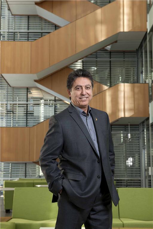 Losses and Gains Image