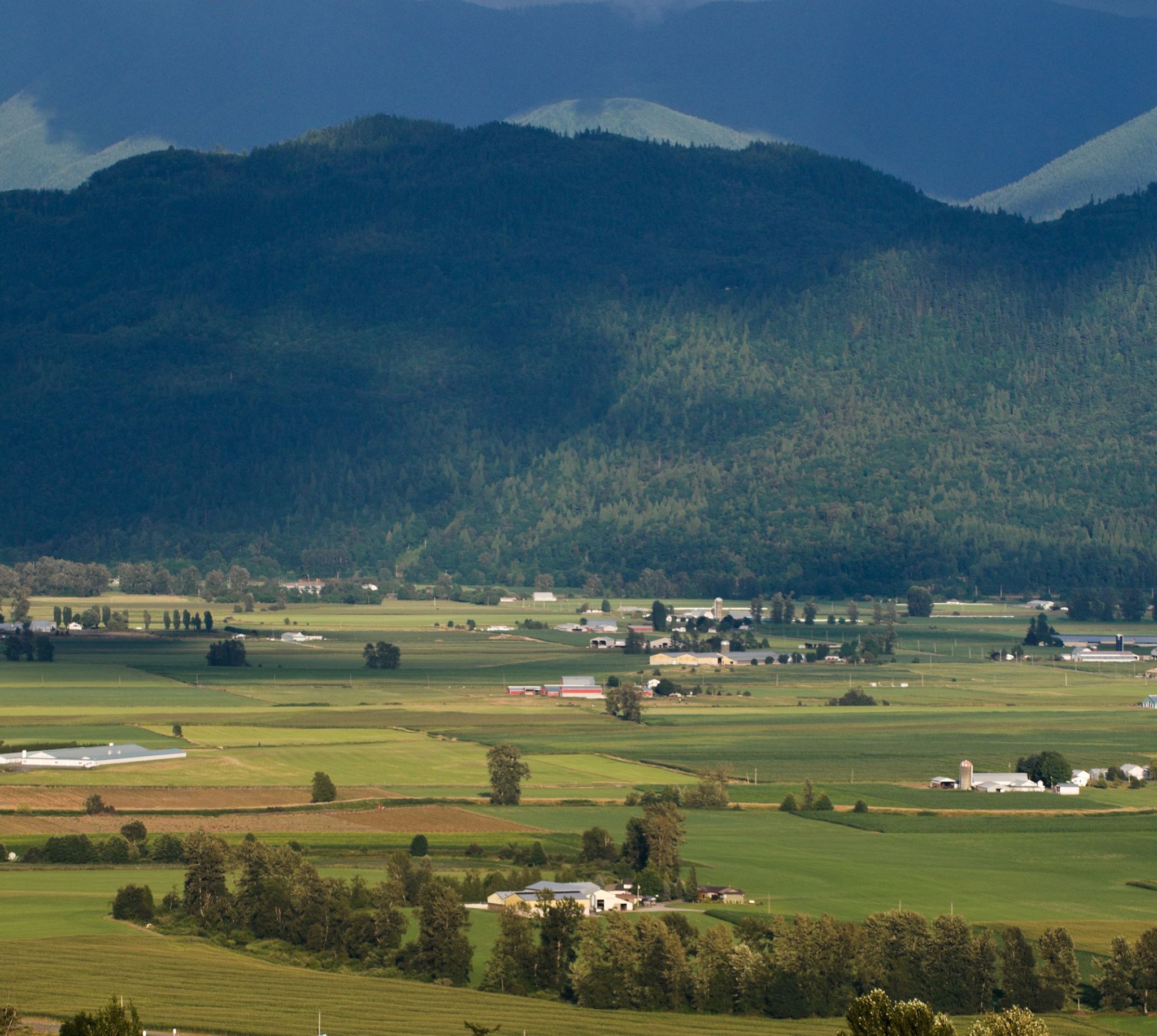 B.C. provides $4 million for shoreline flood mitigation projects in Abbotsford Image