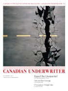  alternate text for this image