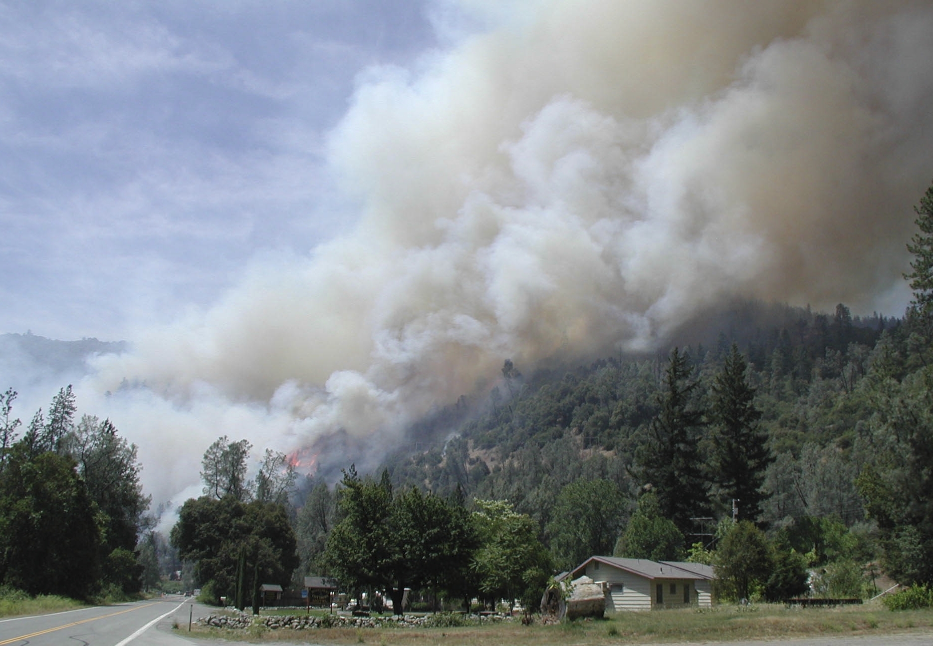 B.C. has seen 59 wildfires since April 1, forestry ministry says Image