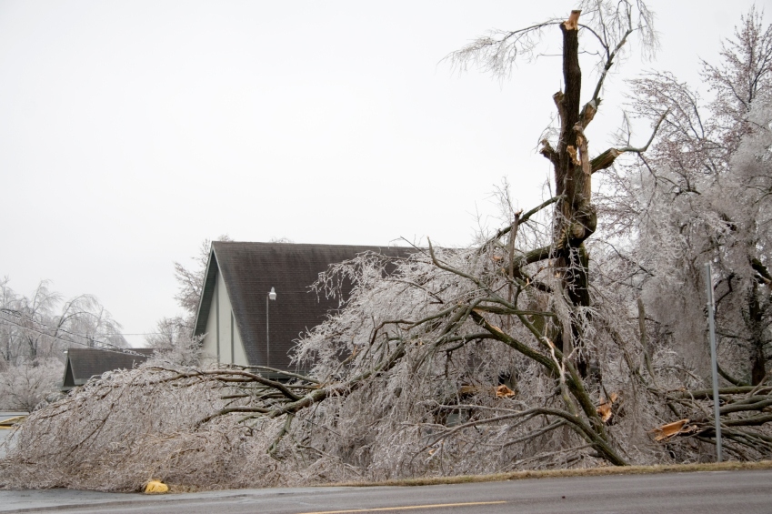 March storm in Ontario tops $25 million in insured damage: CatIQ estimate Image