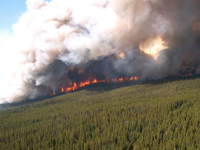 Increased wildfire-related violation tickets come into force in B.C. Image