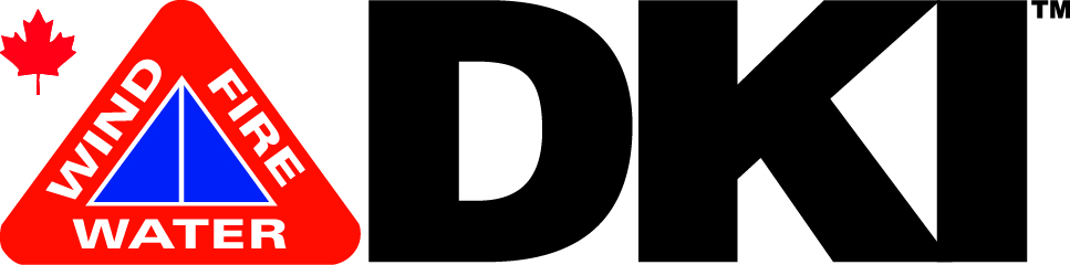 DKI Canada Appoints Chris Schmidt to the Position of CEO Image