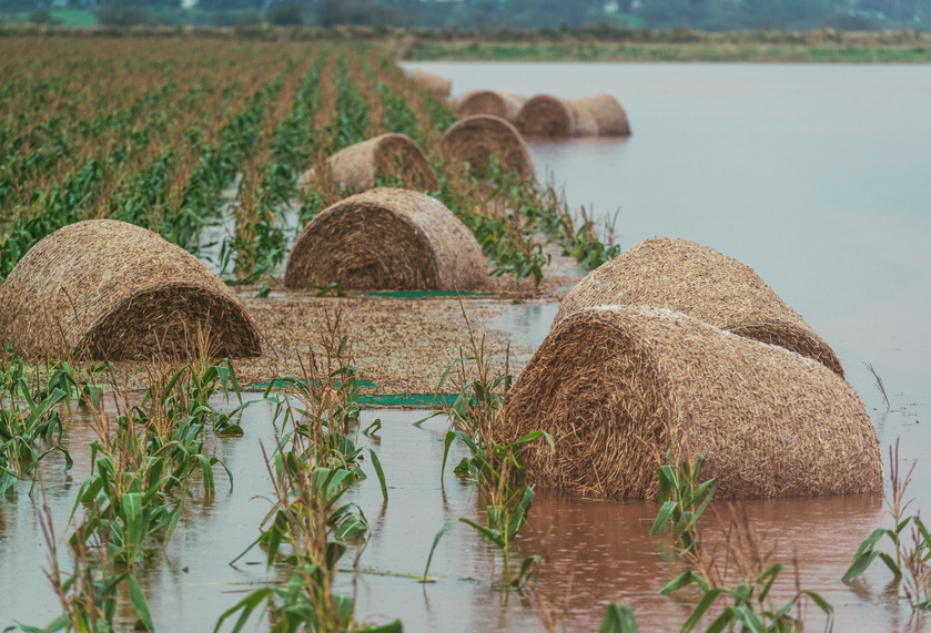 Federal investment will help Manitoba farmers predict the effects of flood and drought on farmland Image