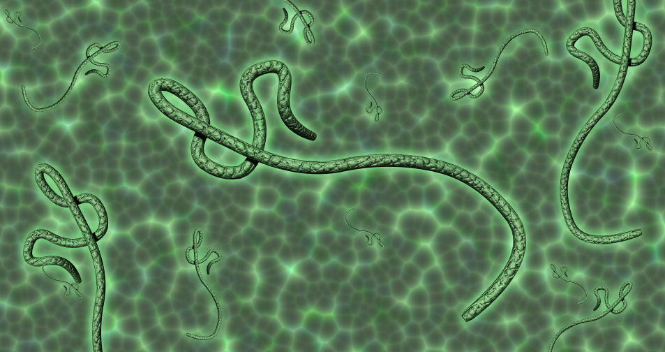 AIR Worldwide expands global pandemic model Image