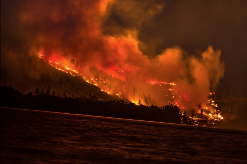 Evacuation order, alert in effect for B.C. properties following wildfire Image